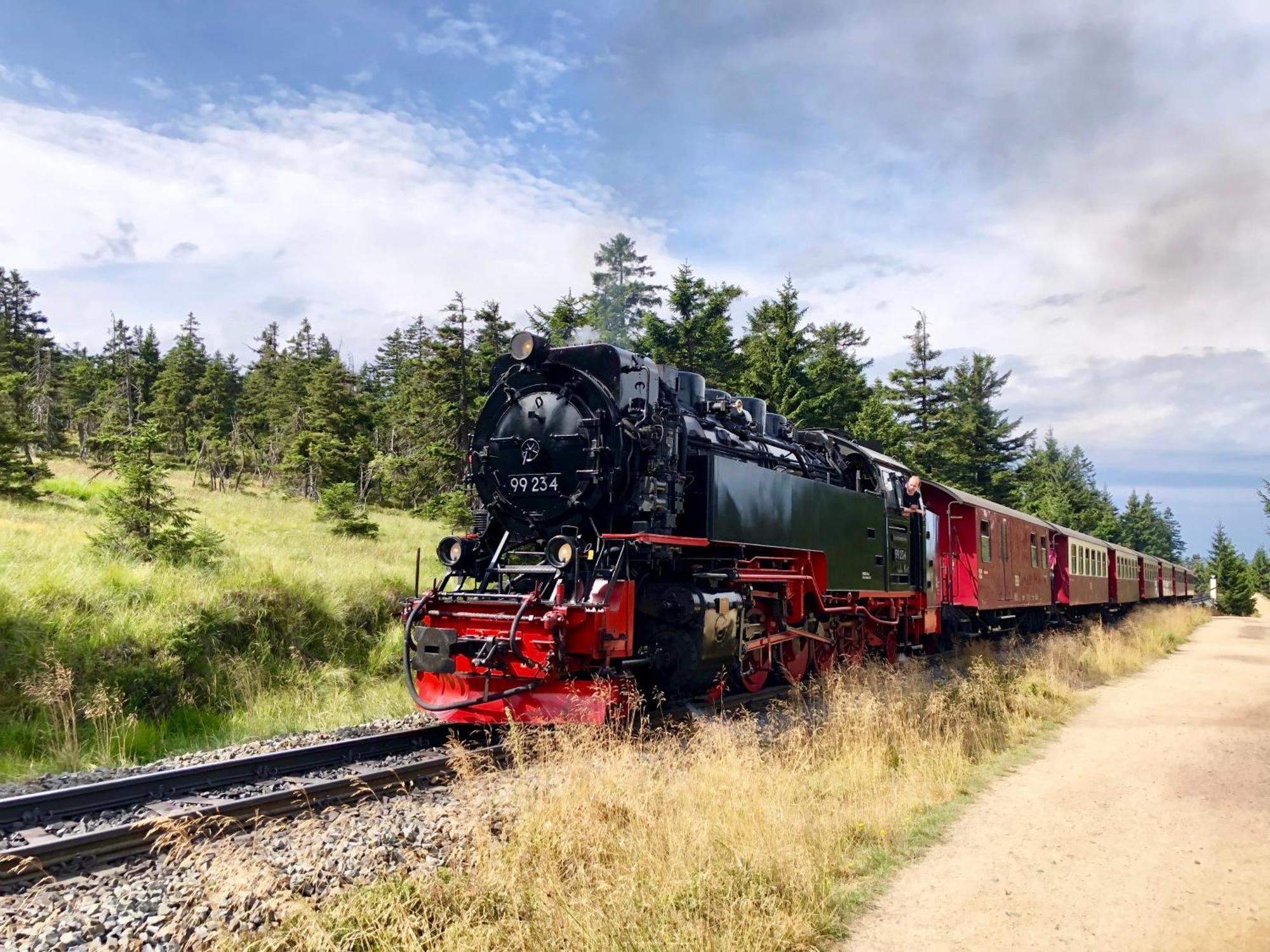 Appartamento Fewo Rubezahl Mit Kamin Bad Harzburg Esterno foto